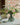 The Flower Shop