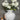 Darcy Antique White Vase