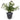 Artificial Olive Tree in Vase