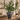 Artificial Olive Tree in Vase